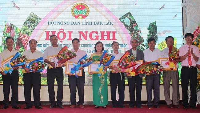 Hội Nông dân tỉnh tặng Bằng khen cho các cá nhân có thành tích xuất sắc trong thực hiện chương trình nhận ủy thác cho vay vốn.