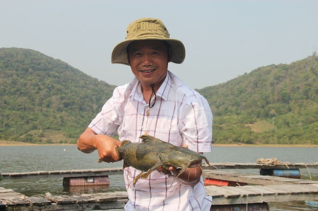 Cá chiên giống được nuôi  tại lồng bè trên đập  Hố Kè  (xã Hòa Lễ, huyện  Krông Bông).