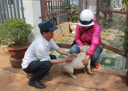Cán bộ thú y xã Hòa Thắng tiêm vắc xin phòng bệnh dại cho đàn chó tại địa phương. 