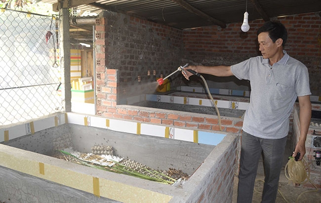Anh Phạm Văn Lễ phun sương để làm mát, giữ độ ẩm cho trại dế.