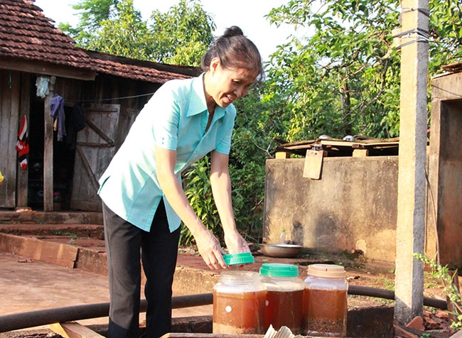 Bà Lỗ Thị Mai đem phơi nắng đậu sau khi được ngâm, ủ.  