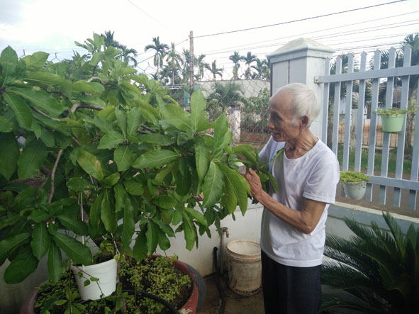 Ông Đỗ Đức Minh chăm sóc cây cảnh trước nhà.  