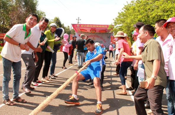 Công nhân lao động hào hứng tranh tài ở môn kéo co. 
