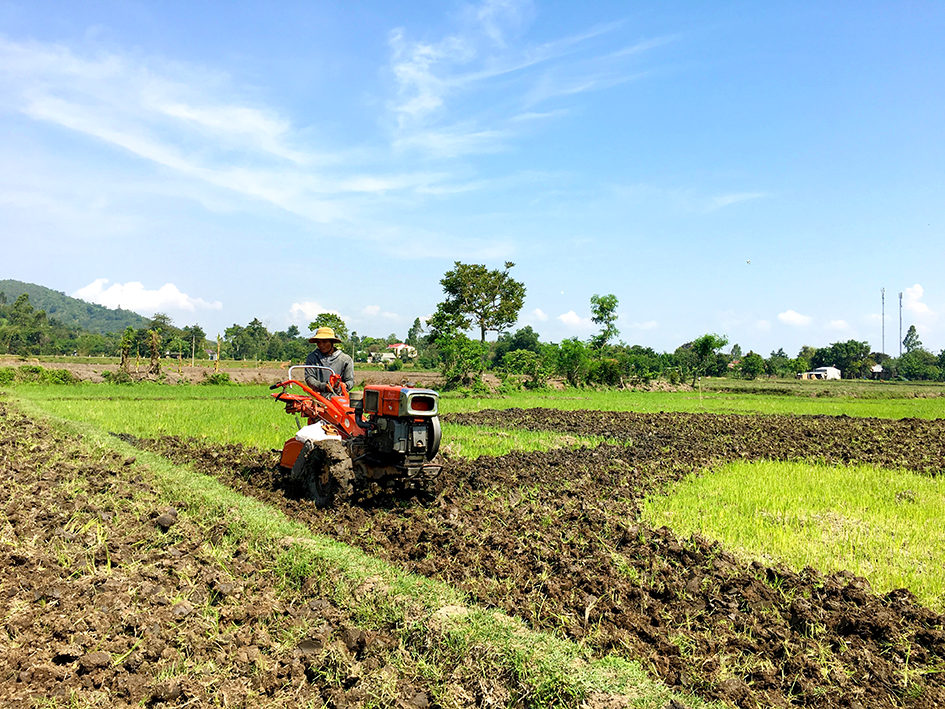 Nông dân xã Ea Trul chuẩn bị cho vụ mùa hè thu sớm. 