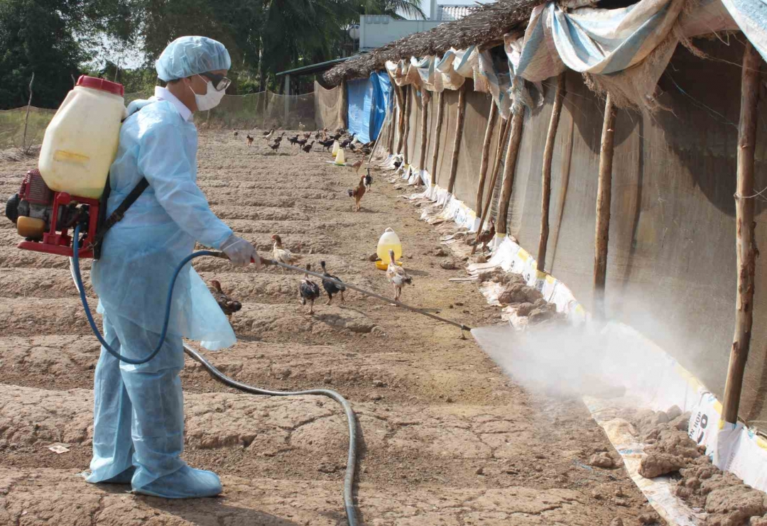 Cán bộ y tế xử lý môi trường phòng ngừa dịch bệnh cúm tại khu dân cư. Ảnh tư liệu