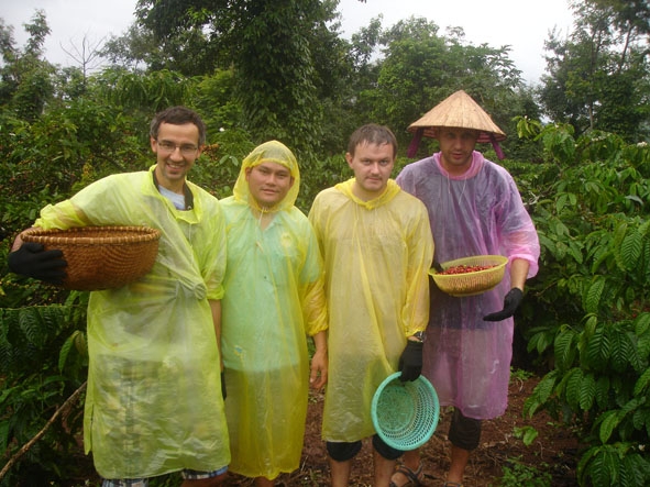 Du khách nước ngoài trải nghiệm thu hái cà phê tại vườn. (Ảnh do Công ty TNHH  Đầu tư Du lịch Đặng Lê cung cấp)