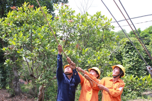 Công nhân Công ty Điện lực Đắk Lắk thay thế đường dây trên địa bàn xã Ea Ral,  huyện Ea H’leo.  