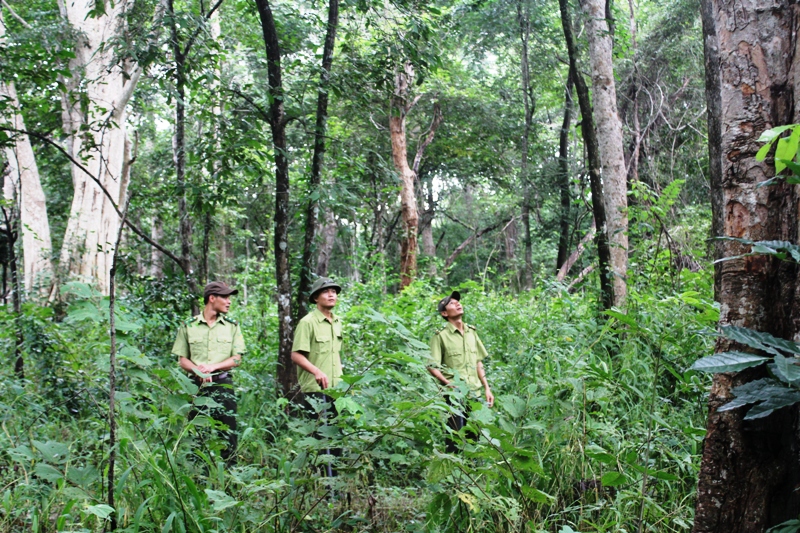 Kiểm lâm Khu Bảo tồn thiên nhiên 