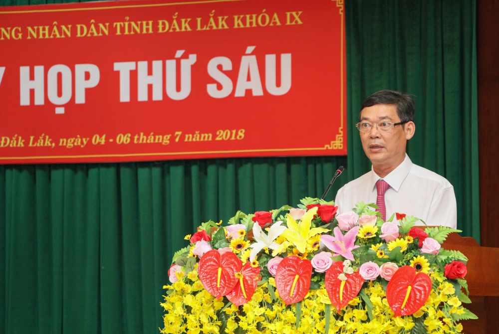Trưởng Ban Kinh tế - Ngân sách HĐND tỉnh Nguyễn Ngọc Những báo cáo thẩm tra