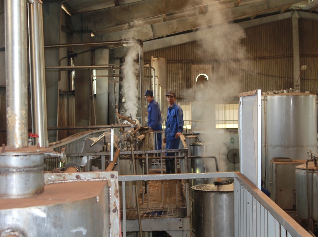 Một cơ sở chế biến cà phê hoạt động trong Khu công nghiệp Hòa Phú