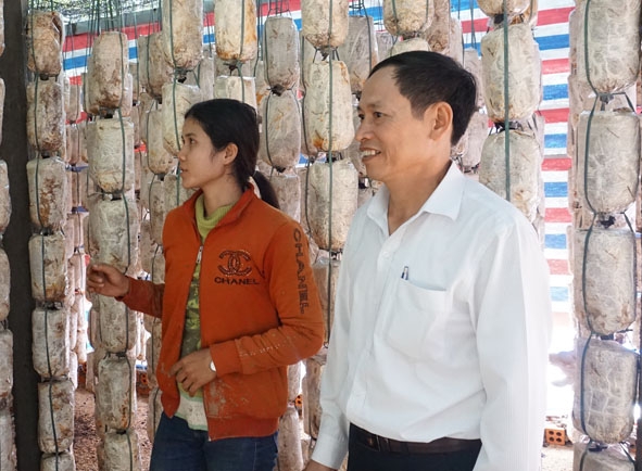 Tạo công ăn việc làm cho lao động nông thôn là vấn đề được các cấp ủy, chi bộ ở thị trấn Buôn Trấp chú trọng (Trong ảnh: Mô hình trồng nấm ở buôn Chăm, thị trấn Buôn Trấp). Ảnh: K.Lê