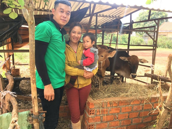 Anh Phạm Mạnh Hùng trao  hai con bò tặng gia đình chị H’Min Byă.  