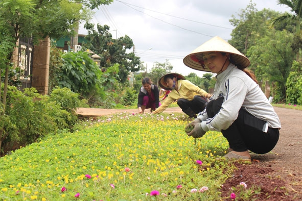Chị em phụ nữ thôn 3, xã Ea Tar đang chăm sóc con đường hoa.