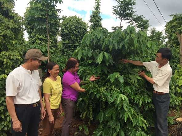 Ông Thuyên (bìa phải) giới thiệu mô hình kinh tế của gia đình với các hội viên, nông dân.