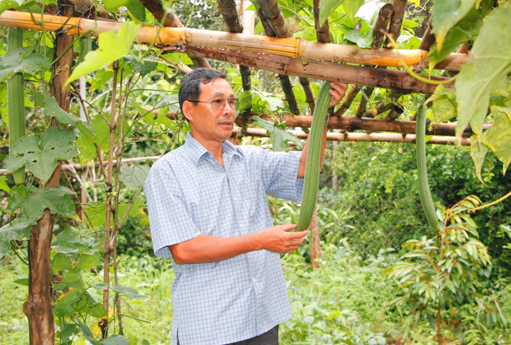 Bí thư chi bộ thôn Tiến Đạt Nguyễn Thành Hoàng là điển hình tiêu biểu trong việc học  và làm theo gương Bác.