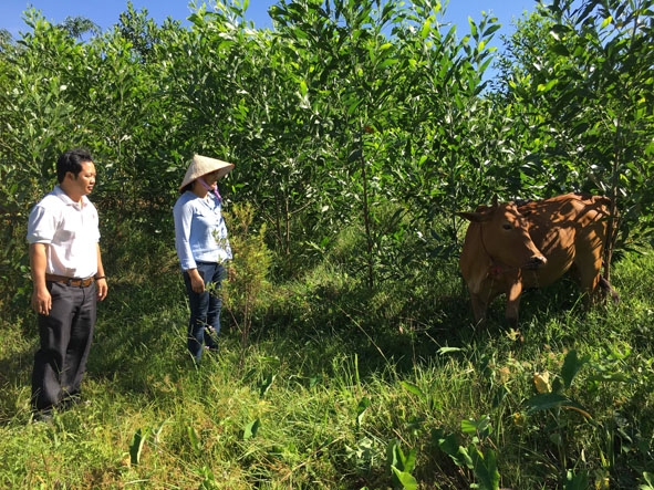 Cán bộ  Hội Chữ thập đỏ xã Cư San  (bìa trái) đến thăm và kiểm tra bò giống  tại gia đình chị Bàn Thị Huệ ở thôn 6. 