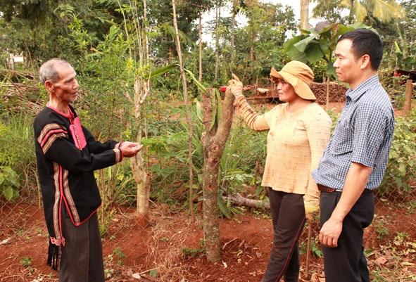 Ông Y Yơh Kbuôr (bìa trái) - già làng,Trưởng ban công tác Mặt trận buôn Kmrơng Prông A, xã Ea Tu (TP. Buôn Ma Thuột) tuyên truyền, vận động người dân di dời hàng rào mở rộng đường giao thông.