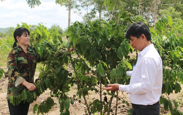 Chị Bế Thị Xanh chia sẻ kinh nghiệm phát triển kinh tế gia đình.