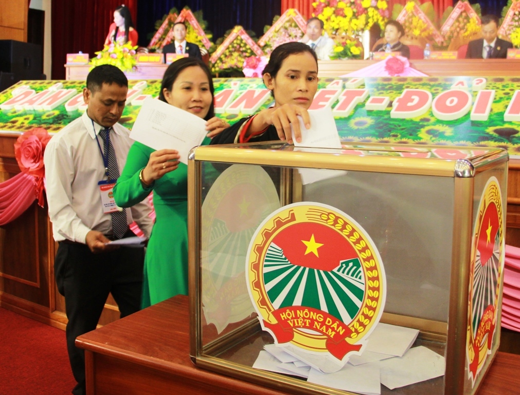 Các đại biểu bỏ phiếu bầu Ban Chấp hành Hội Nông dân tỉnh nhiệm kỳ 2018-2023