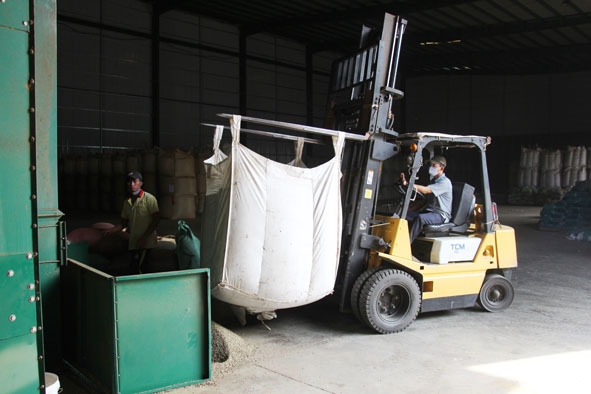 Chế biến cà phê xuất khẩu tại Công ty TNHH MTV Xuất nhập khẩu 2-9 Đắk Lắk.   