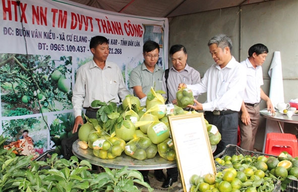 Chủ tịch UBND huyện Ea Kar Nguyễn Văn Hà, (thứ hai từ phải sang) thăm gian hàng trưng bày sản phẩm của HTX Nông nghiệp dịch vụ vận tải Thành Công tại hội chợ  phát triển cây ăn trái trên địa bàn huyện.