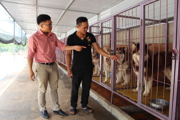 Anh Cường tham quan mô hình trang trại chó cảnh của thành viên CLB Thanh niên làm kinh tế giỏi. 
