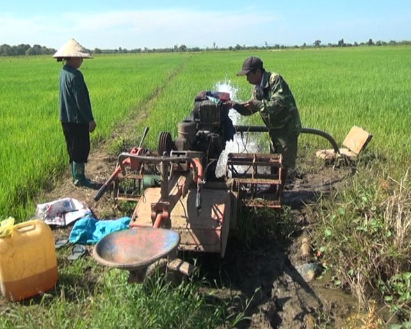 Nhiều hộ dân tốn chi phí hàng chục triệu đồng để bơm tưới với hy vọng được thu hoạch lúa. 