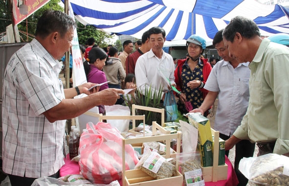 HTX Nông nghiệp – Dịch vụ thương mại Hợp Nhất (thôn 8, xã Ea Ô, huyện Ea Kar) trưng bày, giới thiệu sản phẩm tại hội chợ cây ăn trái trên địa bàn huyện Ea Kar