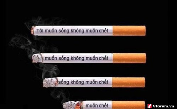 Thuốc lá có hại cho sức khỏe. 