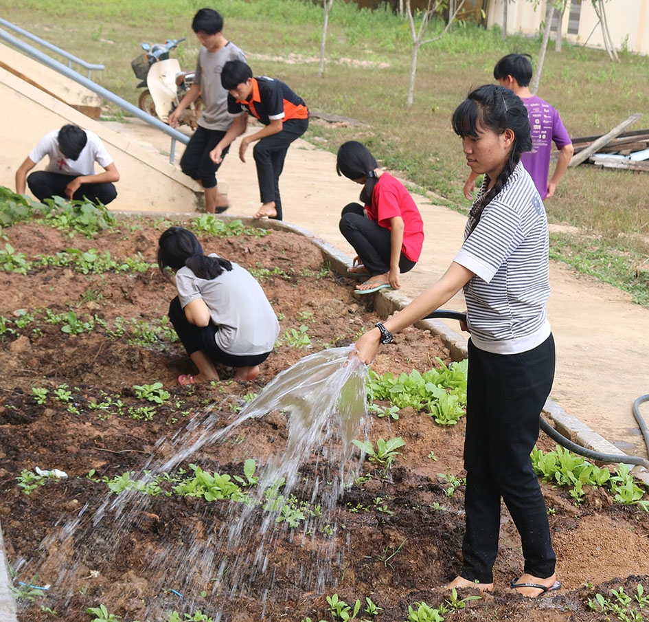 Các em học sinh trồng rau để cải thiện  bữa ăn. 