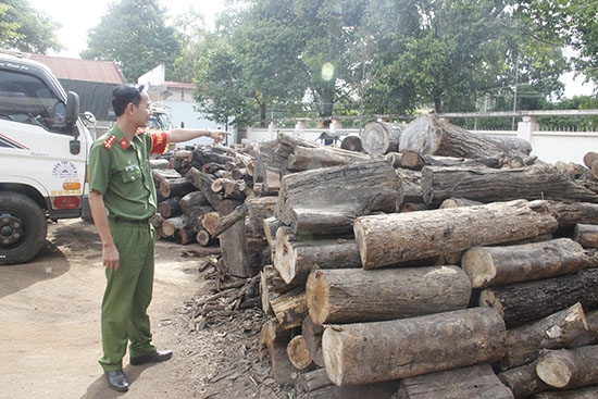 Lâm sản vận chuyển trái phép thu được, đang tạm giữ tại Công an huyện Cư M'gar