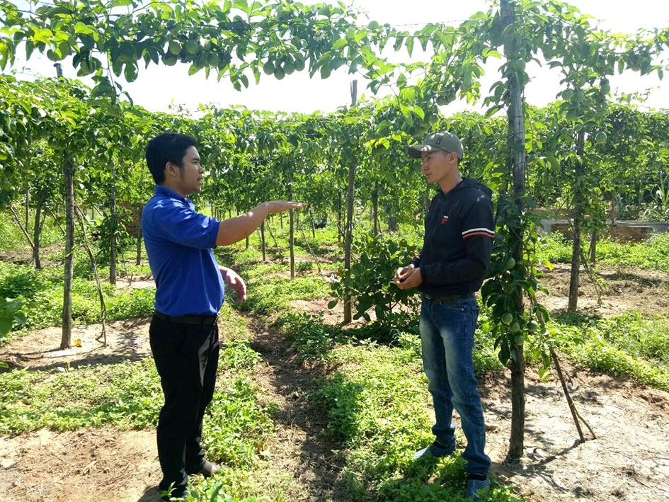 Cán bộ Đoàn kiểm tra việc sử dụng vốn vay phát triển kinh tế của ĐVTN Nguyễn Văn Sơn ở thôn 10, xã Vụ Bổn.