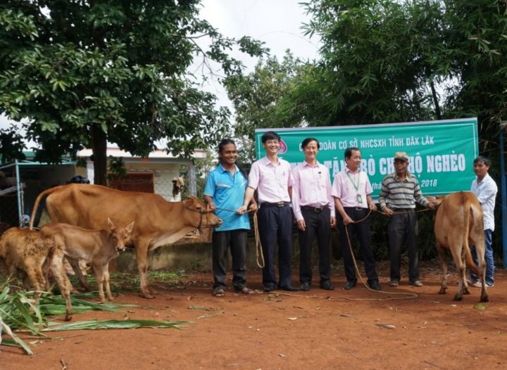 Đại diện Công đoàn Cơ sở Chi nhánh NHCSXH Đắk Lắk trao bò tặng hai hộ nghèo ở buôn Hiao 1
