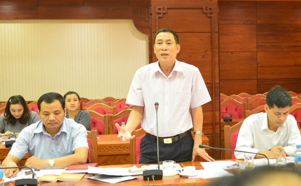 Đồng chí Võ Văn Cảnh, Phó Chủ tịch UBND tỉnh phát biểu tại buổi làm việc.