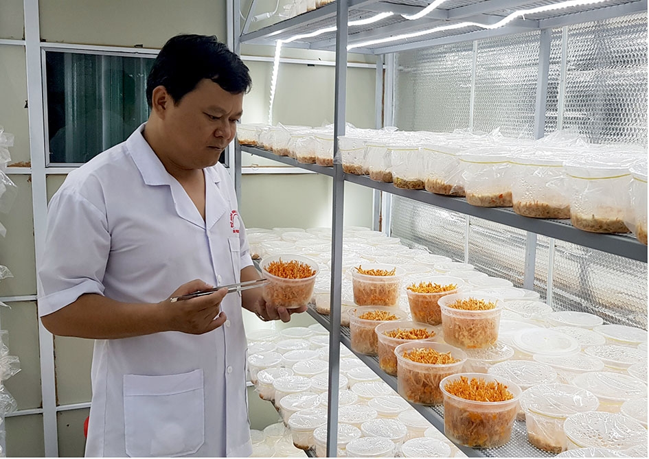 Thầy Nguyễn Phương Đại Nguyên trong phòng nuôi đông trùng hạ thảo đã được vô trùng.
