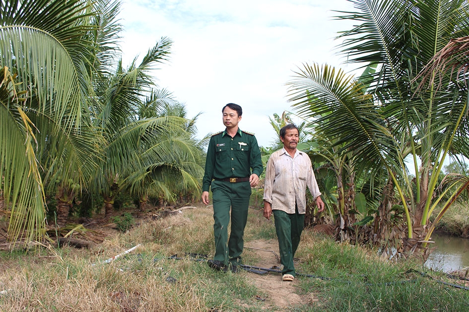Một mô hình trồng dừa xiêm lùn của người dân được bộ đội Đồn Biên phòng Ia R’vê giúp đỡ.