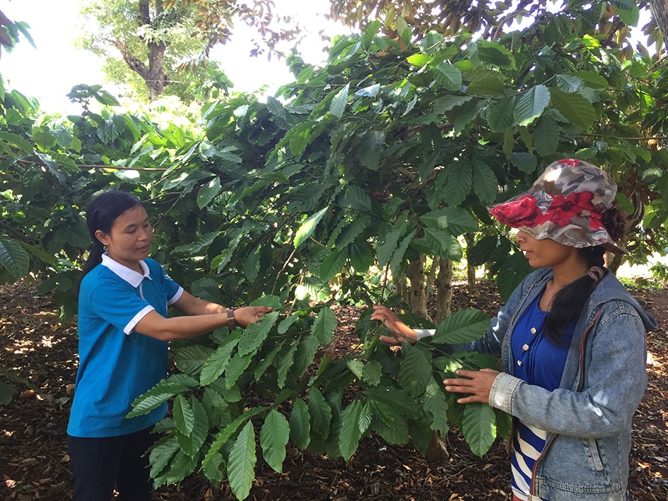 Chị H’Wôn Niê (trái) trao đổi, chia sẻ kinh nghiệm về trồng và chăm sóc cây cà phê  với một hội viên.  