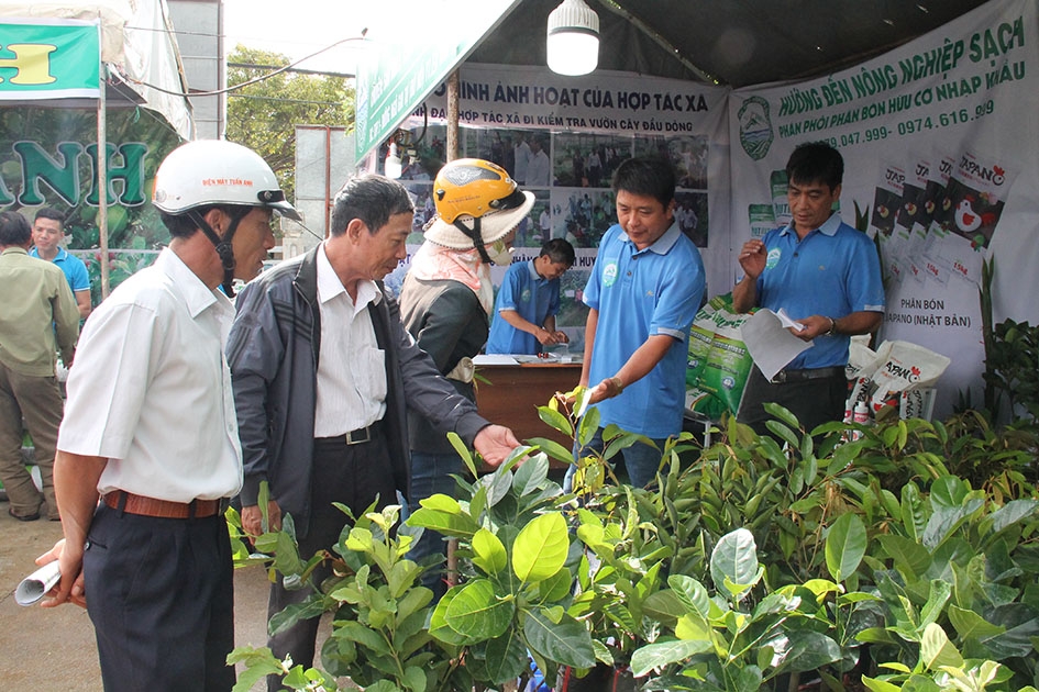 Nông dân tìm hiểu về cây giống của HTX Dịch vụ nông nghiệp và du lịch hồ Ea Kar.   