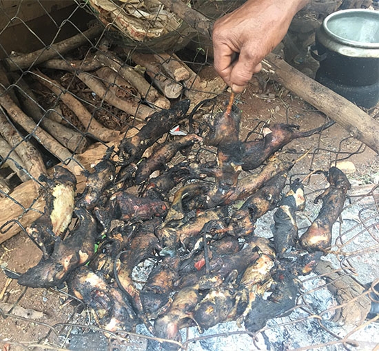 ... chuột núi nướng