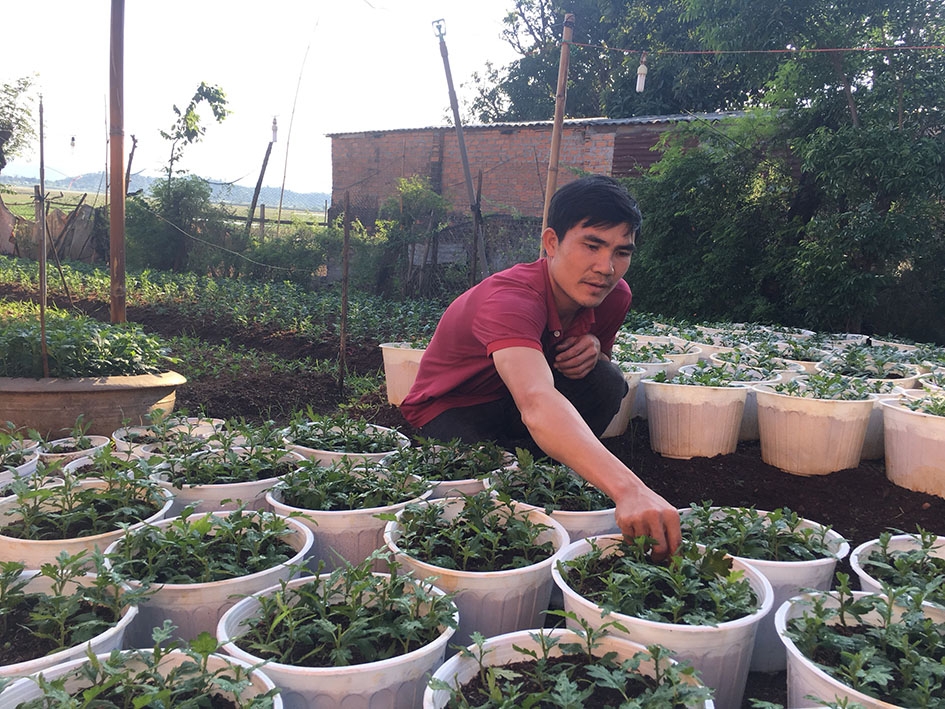 Anh Trần Văn Nam đang gieo trồng hoa vụ Tết.