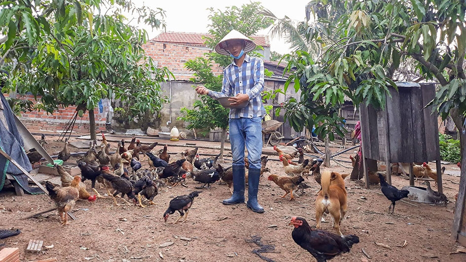 Mô hình VAC của anh Hoàng Công Thành (thôn 6, thị trấn  Ea Súp).    