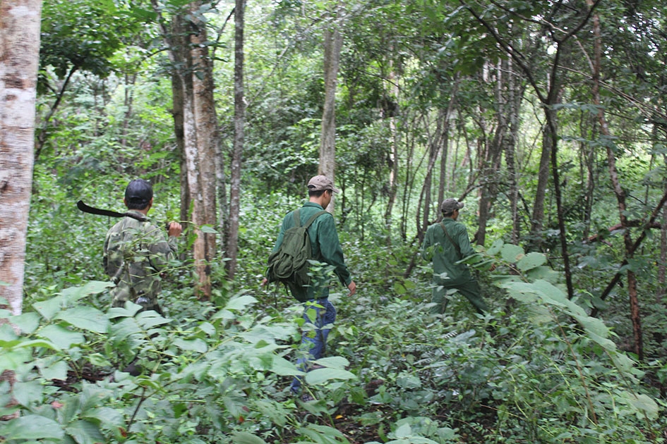 Kiểm lâm Khu Bảo tồn thiên nhiên Ea Sô tuần tra bảo vệ rừng.    