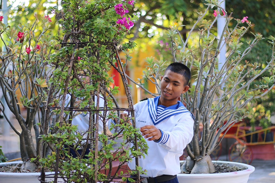 Cán bộ, chiến sĩ Đảo Sinh Tồn trang trí cây cảnh chuẩn bị đón Xuân. 
