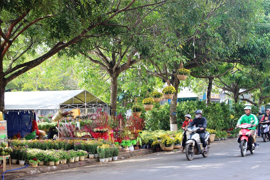 Đường phố rực rỡ sắc hoa.