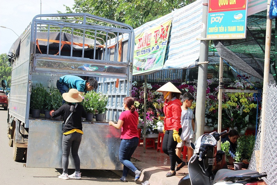 Tiểu thương nhanh chóng bê chậu hoa vào bày bán.