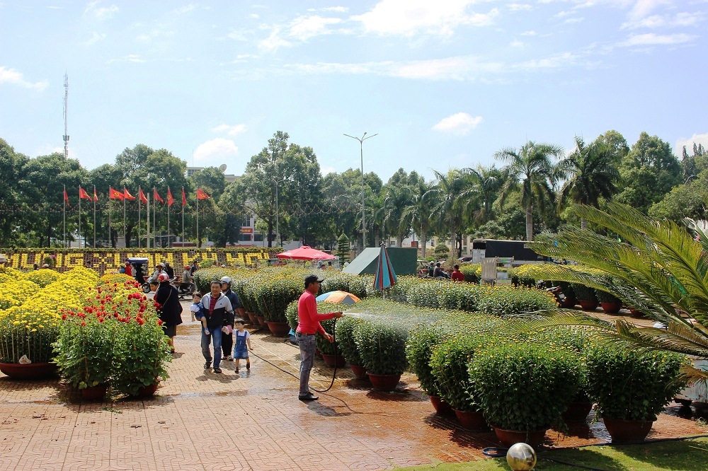 Nhiều gia đình du xuân