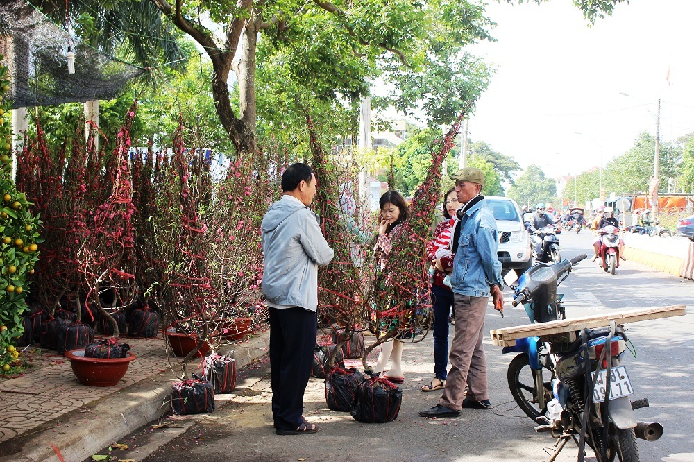 Khách hỏi mua hoa đào.