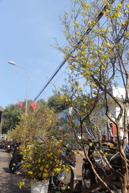 Cả một góc phố 