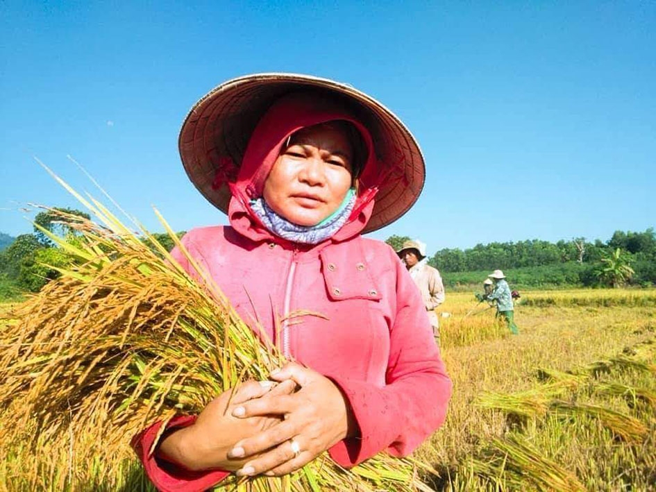 Chị H'Blung Byă giúp người dân trong buôn thu hoạch lúa.  