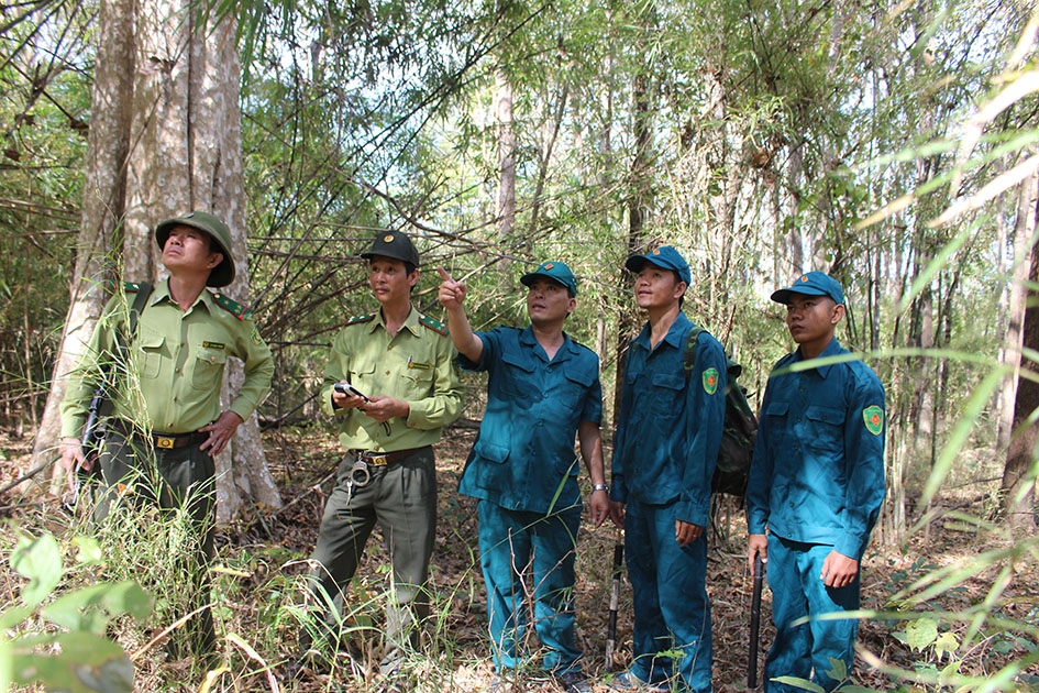  Một buổi tuần tra của  lực lượng tự vệ  và  kiểm lâm Vườn  Quốc gia Yok Đôn.    